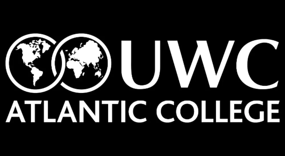  OptimizedImage,,,Optimized