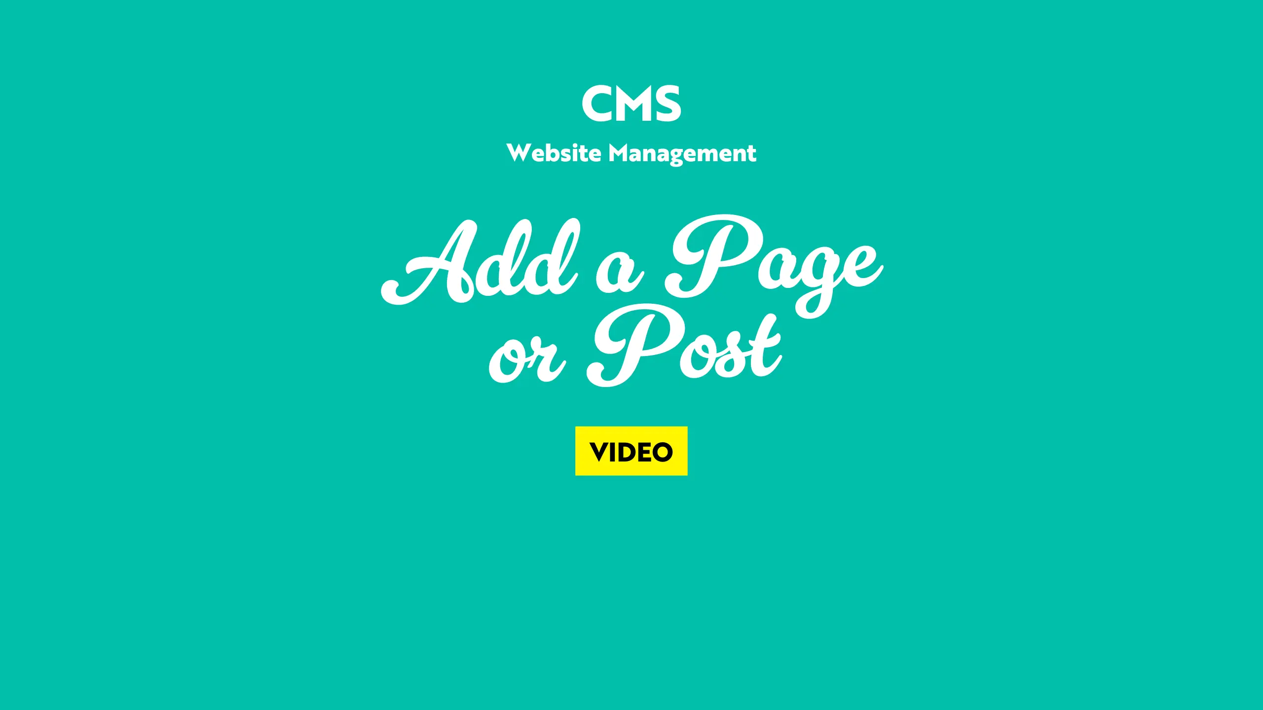 Creating a New Page or Post