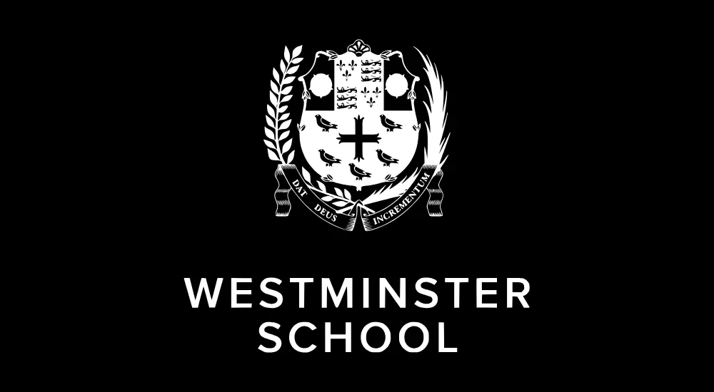  OptimizedImage,,,Optimized