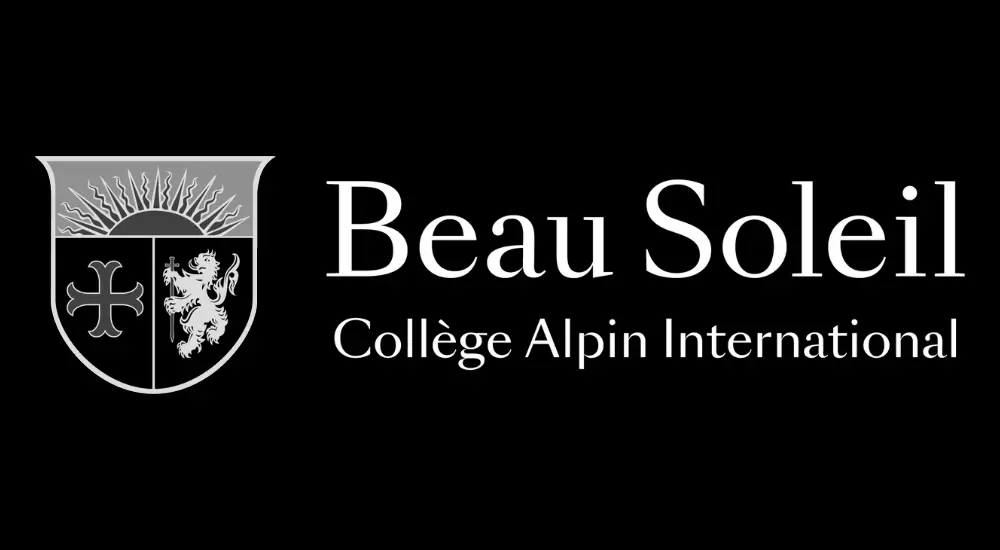  OptimizedImage,,,Optimized