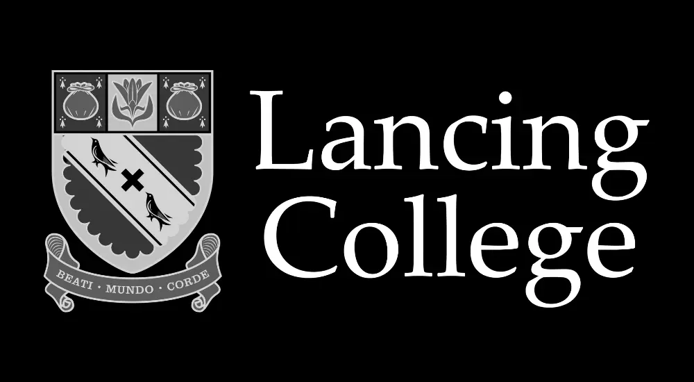  OptimizedImage,,,Optimized