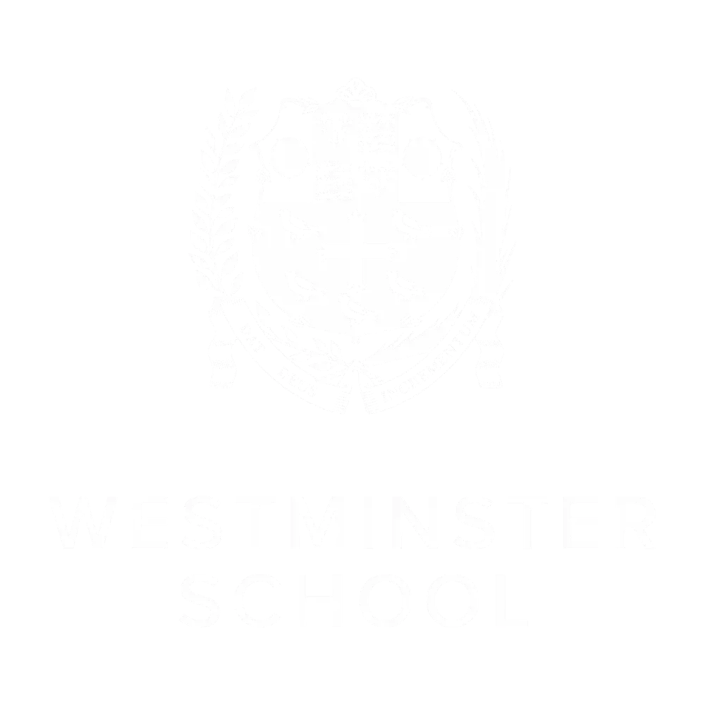  OptimizedImage,,,Optimized